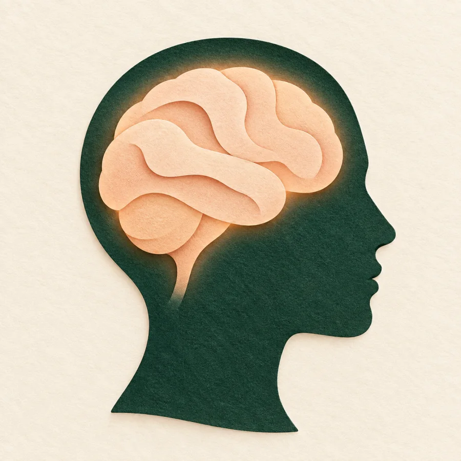 A head with a brain