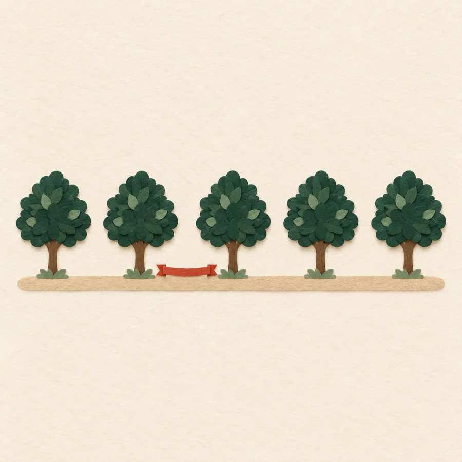 A row of trees with equal gaps along a path