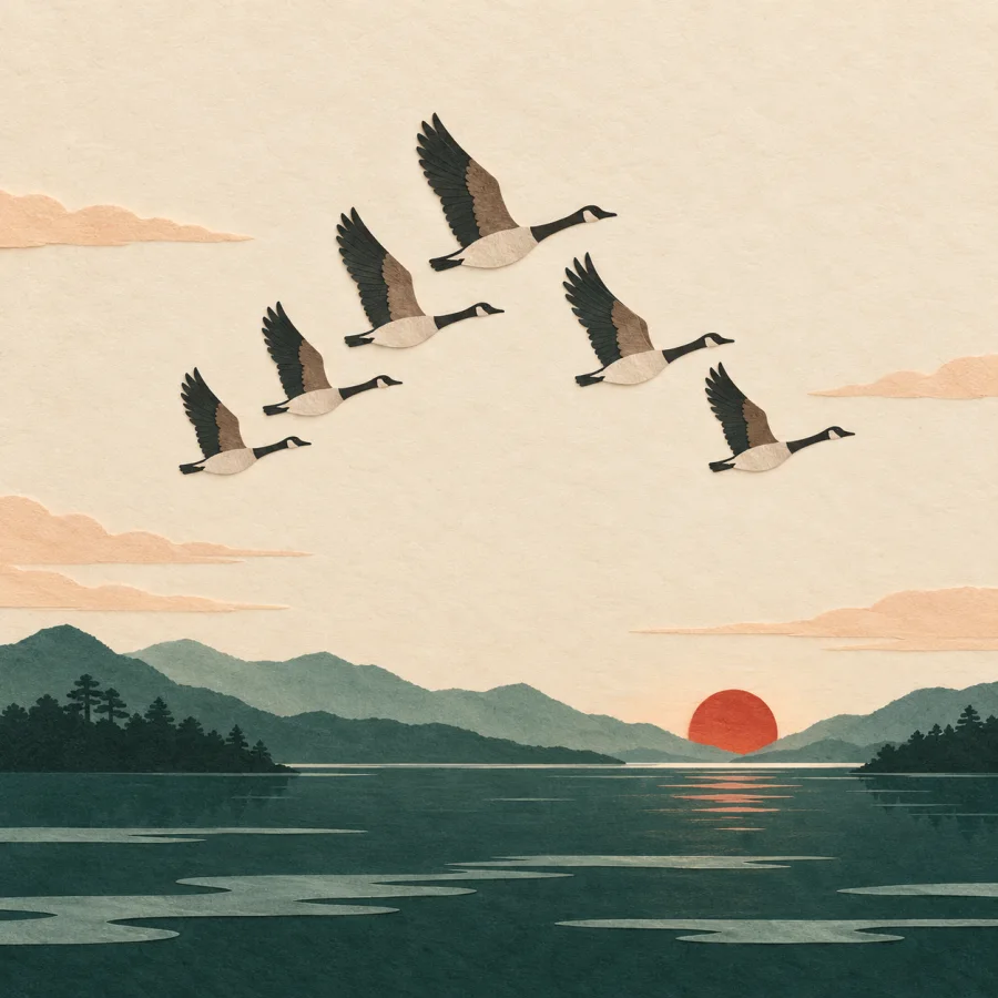 A flock of wild geese flies in a V over a lake