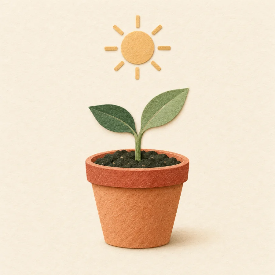 A tiny sprout with two leaves in a flowerpot