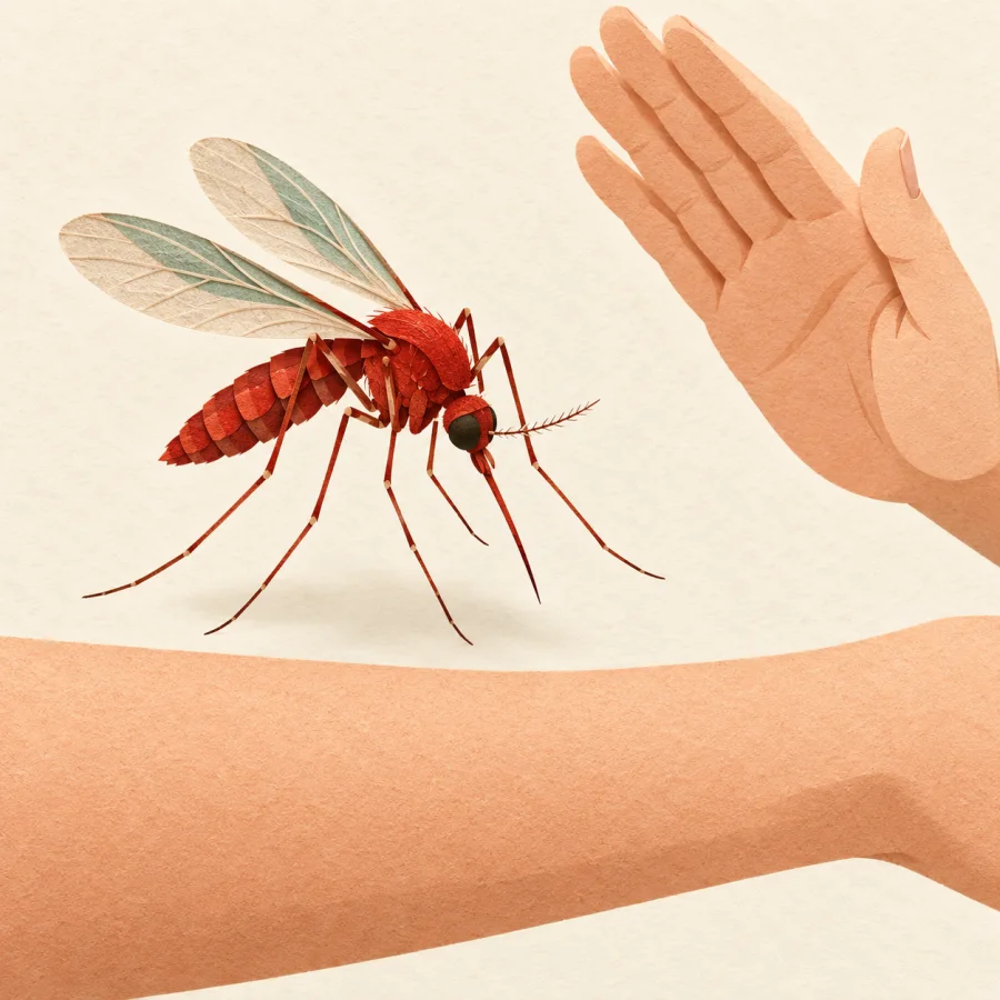 A large mosquito approaches a person's arm, hand raised to swat